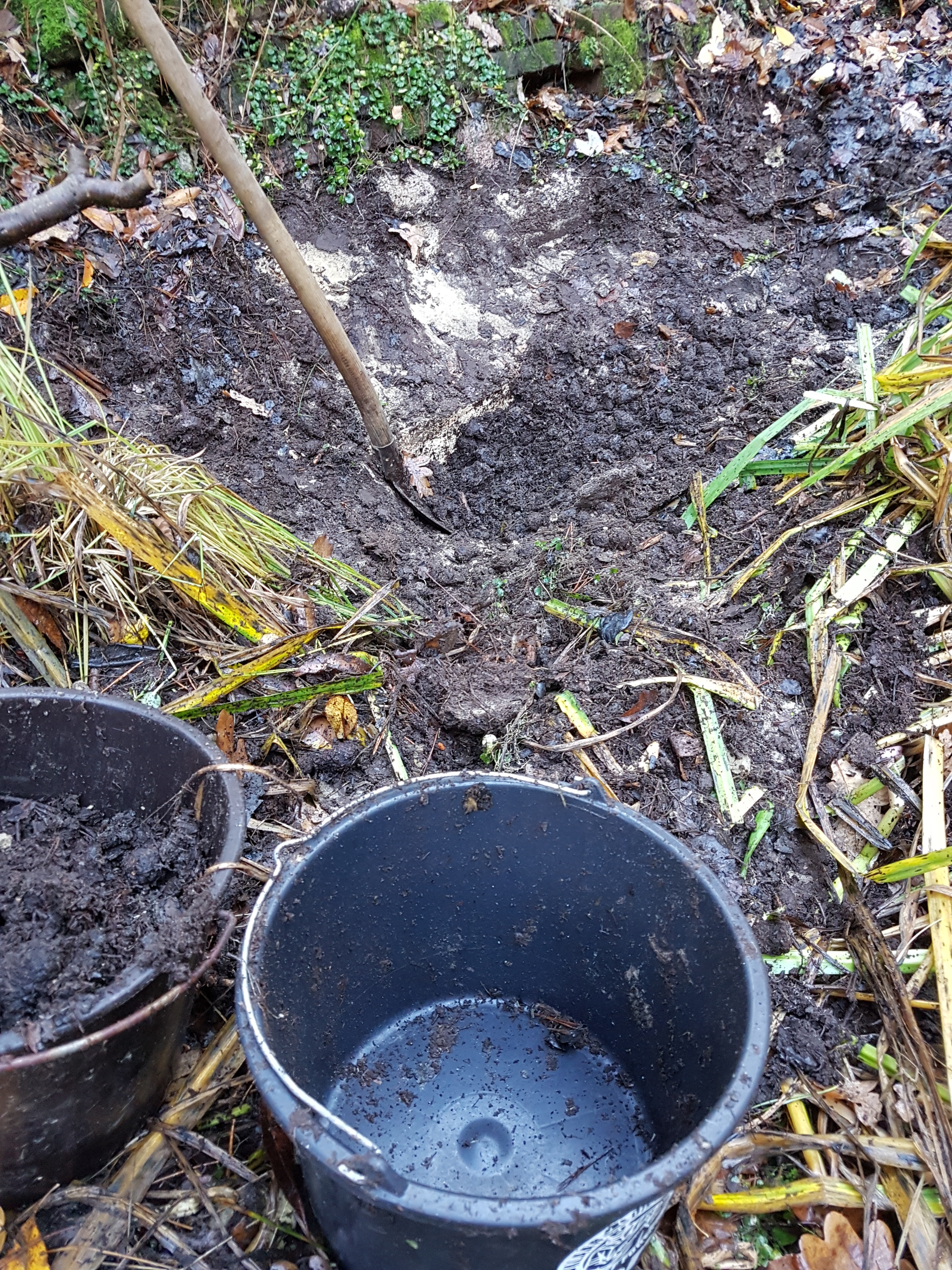 Because it couldn’t be wheeled inside the mesh-wire fence, we filled the wheelbarrow one bucket at a time—a time-consuming process.