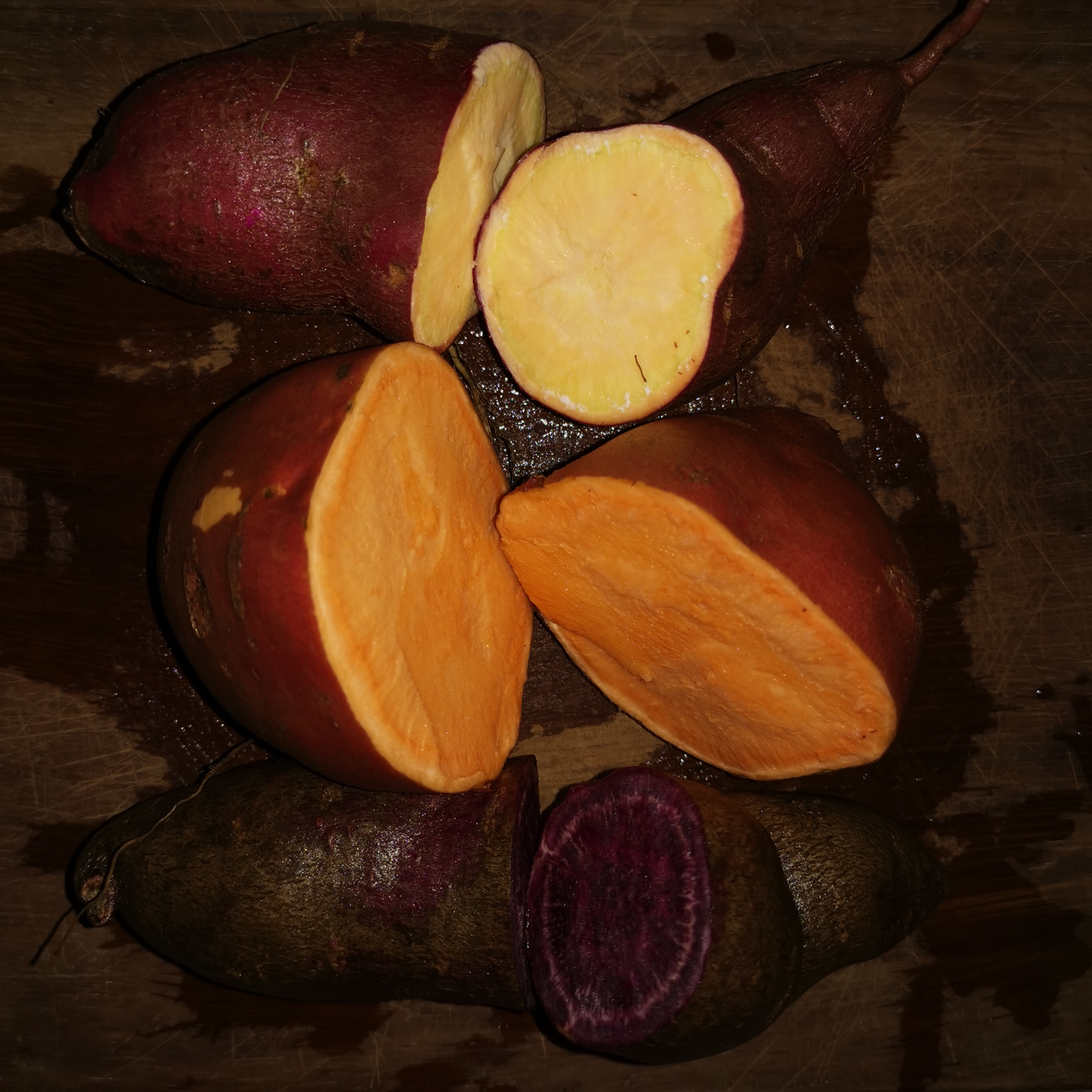 The 3 varieties of sweet potato harvested on Nov. 2. (The photo is from a month later: Dec. 1.)